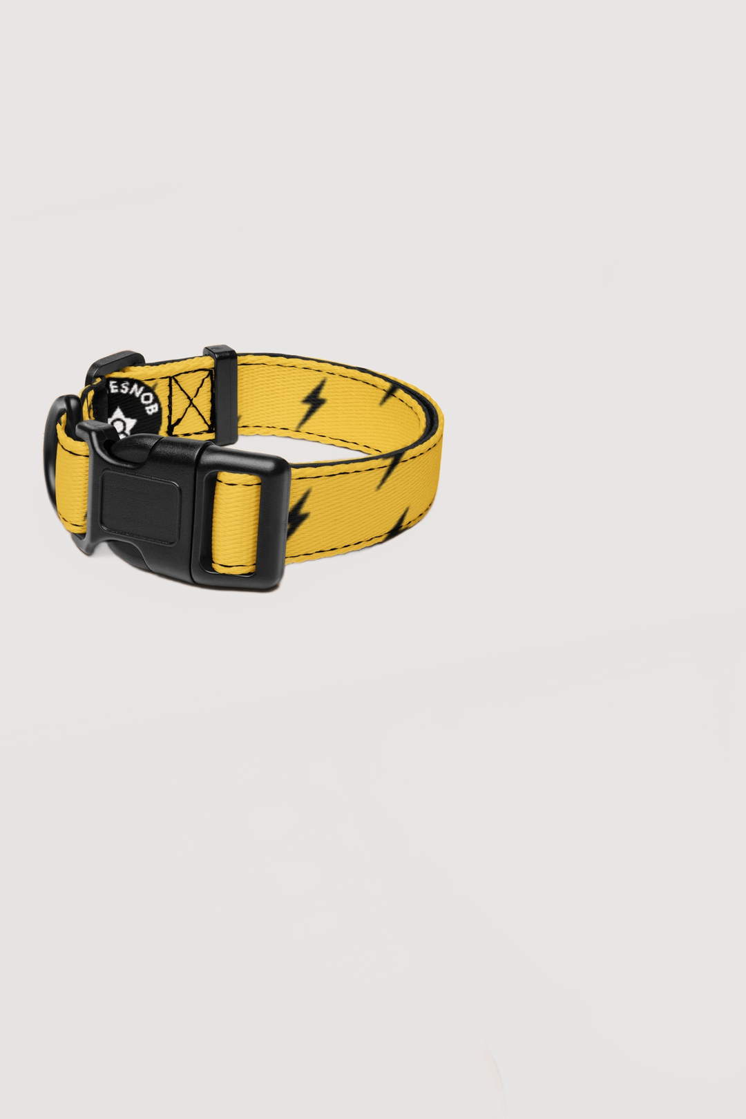 Pet Collar - Famesnob