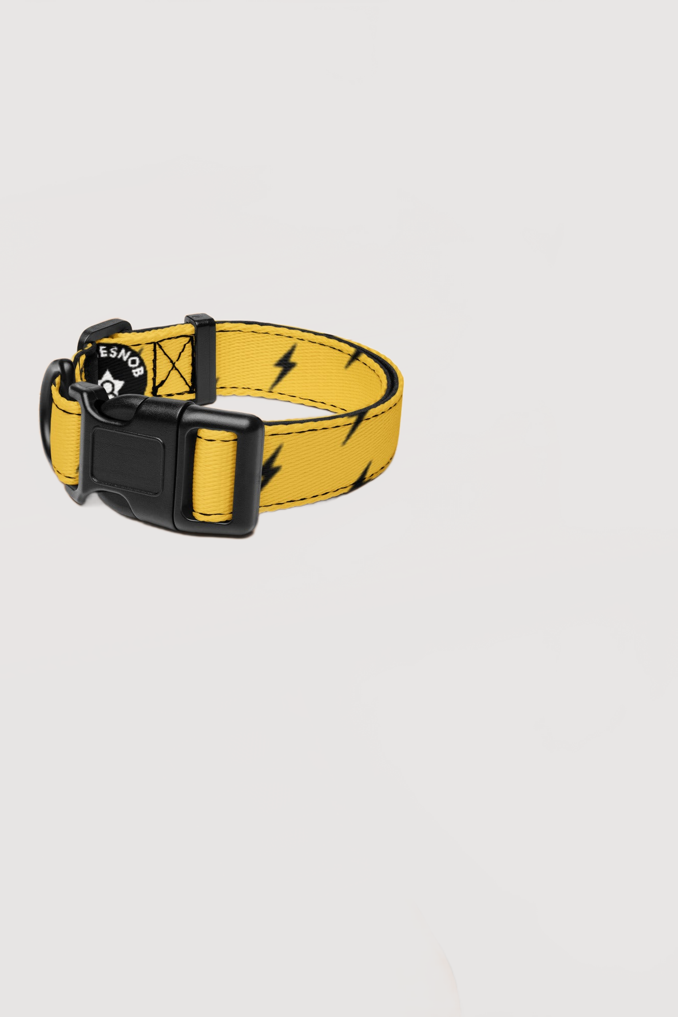 Pet Collar - Famesnob